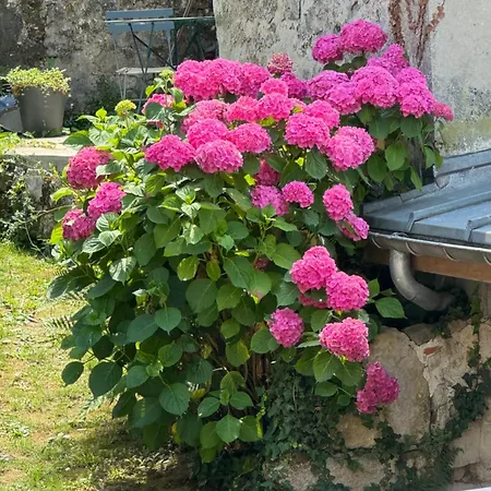 Charming House بيت للعطل